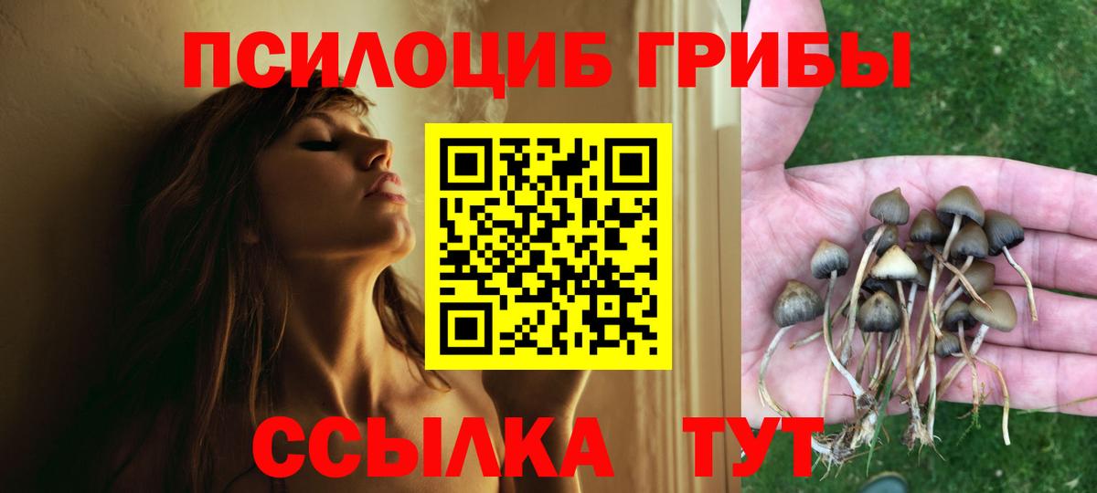 Галлюциногенные грибы Magic Shrooms  Вход с VPN  Петрозаводск 